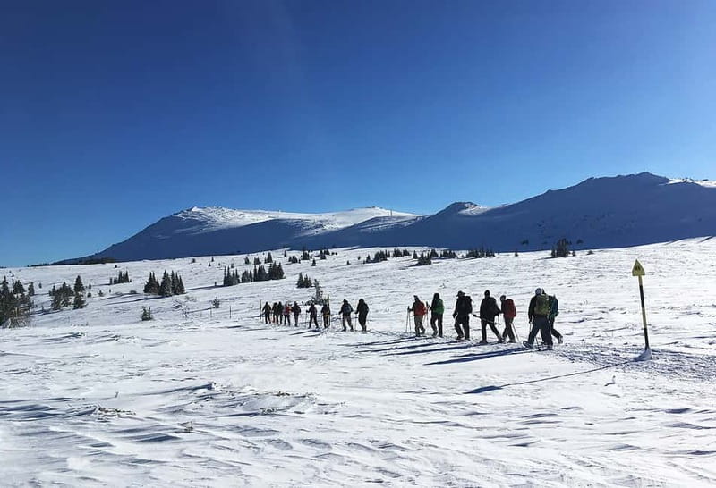 Sofia: Black Peak-Vitosha Mountain Snowshoeing Day Trip - Key highlights that make this day trip worth your time