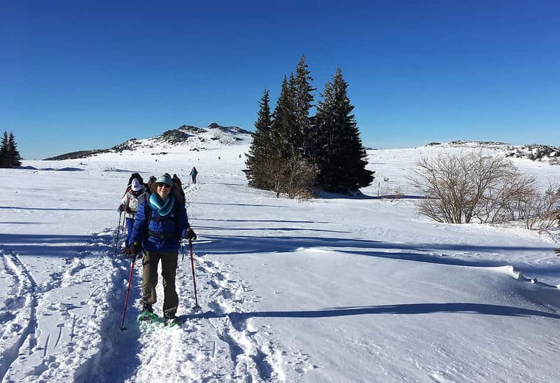 Sofia: Black Peak-Vitosha Mountain Snowshoeing Day Trip - Getting your snowshoes right: bindings and walking technique