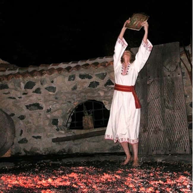 Sofia by Night: Panoramic City Tour and Folklore Dinner - Dinner in Borisova Garden: typical Bulgarian dishes, plus a show