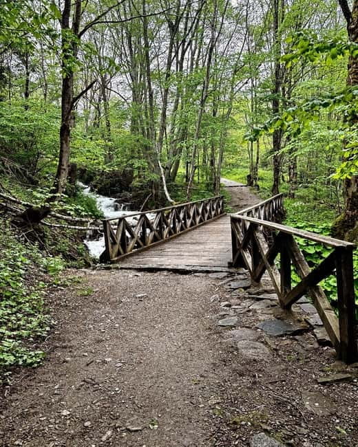 Sofia Highlights Walking Tour - Vitosha Boulevard’s Pedestrian Zone: Street Life With Vitosha in View