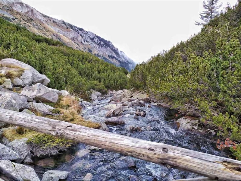 Sofia: Pirin National Park Hike & Bansko Visit - Key highlights you’ll feel right away