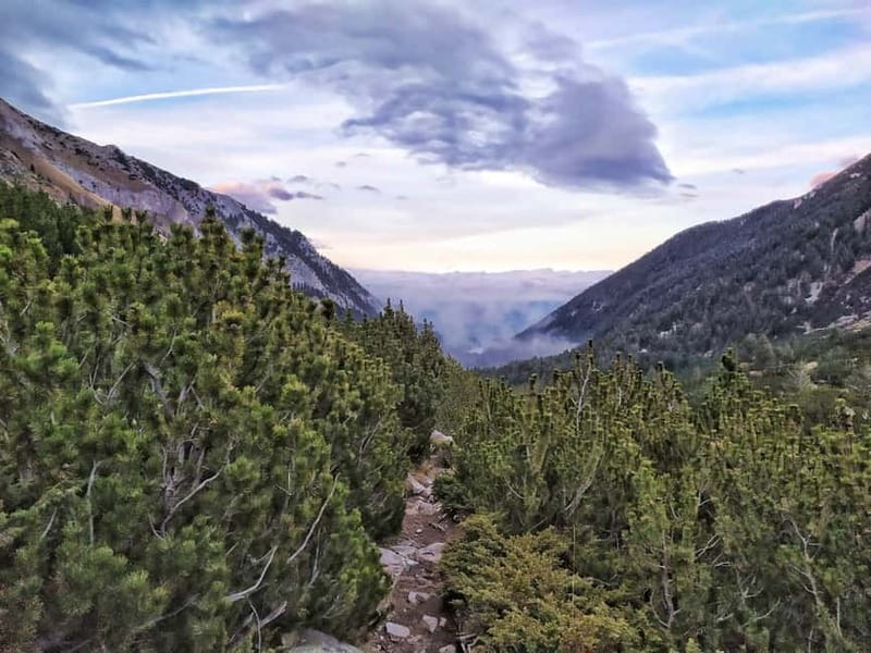 Sofia: Pirin National Park Hike & Bansko Visit - Price and value: why about $111 can make sense here