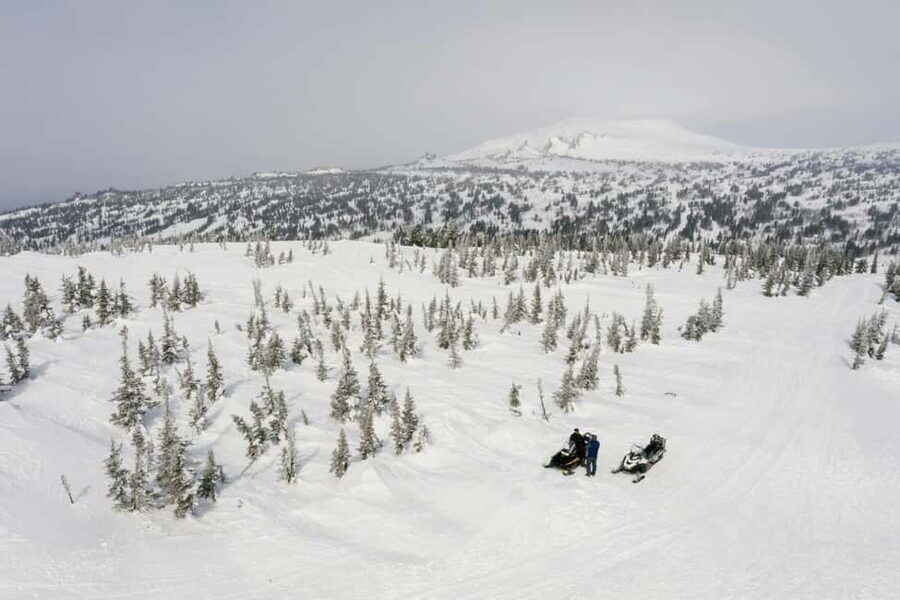 Sofia Snowmobile Safari Adventure - Hotel Pickup Included - Who Should Book This Sofia Snowmobile Safari, and Who Should Skip It