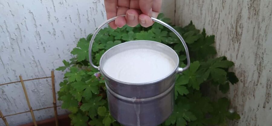 Sofia: Taste Bulgarian Yogurt Kiselo Mlyako in a Family Home - Key things I’d circle before you go