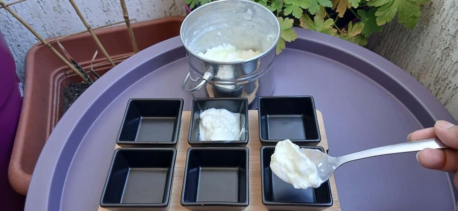Sofia: Taste Bulgarian Yogurt Kiselo Mlyako in a Family Home - The 5-Yogurt Flight: Cow, Sheep, Buffalo, Goat, Village