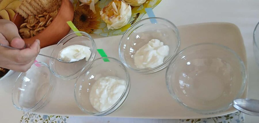 Sofia: Taste Bulgarian Yogurt Kiselo Mlyako in a Family Home - The Toppings and Drinks That Turn Yogurt Into a Full Experience