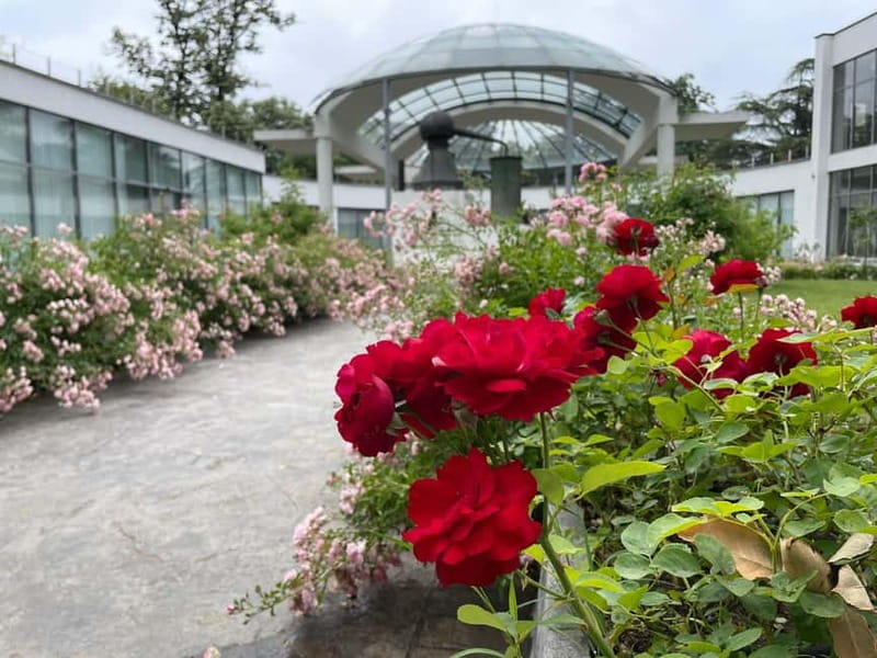 Sofia:The Highlights of Bulgaria - Rose Valley and Buzludzha - Comfort, transport, and how the logistics affect your day