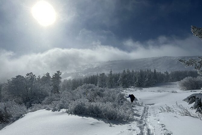 Sofia to Vitosha National Park Snowshoe Hike with Lunch time - Entering Vitosha the easy way, just 30 minutes from Sofia