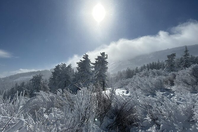 Sofia to Vitosha National Park Snowshoe Hike with Lunch time - Dragalevtsi Monastery: quiet culture after the snowshoe effort