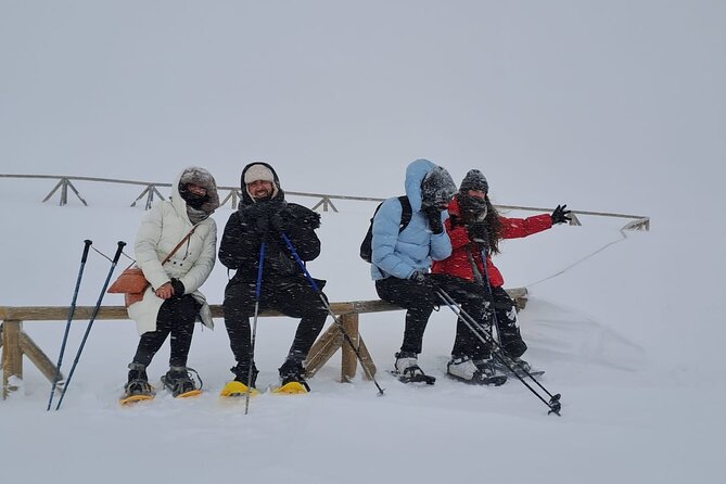 Sofia to Vitosha National Park Snowshoe Hike with Lunch time - How the 5-hour plan fits together (and what it feels like)