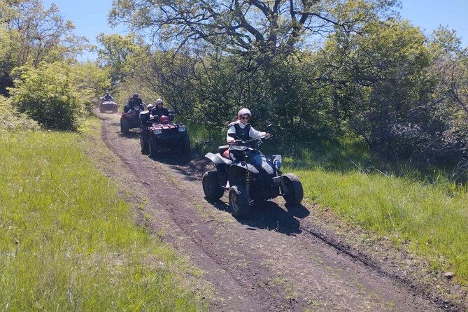 Southern Black Sea Quad Bikes Fun - Private English-Language Tour: How Personalized It Feels