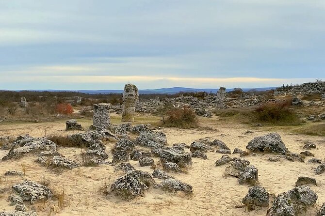 Stone Forest and Aladzha Monastery Experience - Transport Comfort and the Role of a Friendly Driver