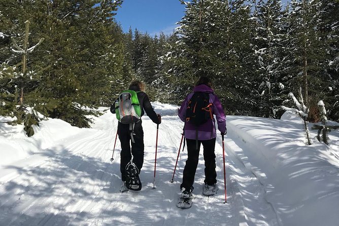 The Best of Bansko: Magical Snowshoeing Adventure & SPA - Entering Pirin National Park, one snowshoe step at a time