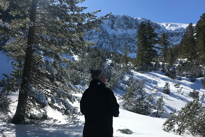 The Best of Bansko: Magical Snowshoeing Adventure & SPA - Gear and comfort tips for snowshoeing in Bulgaria