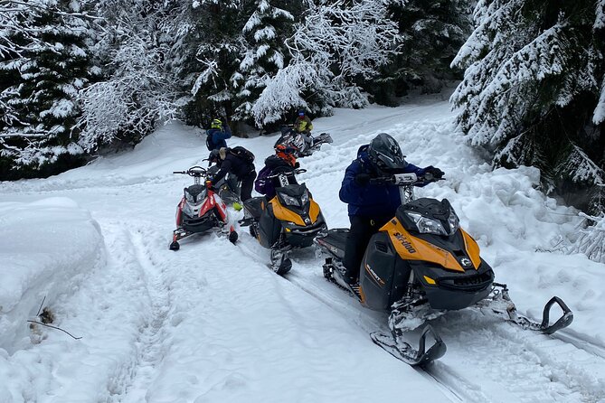 The Ultimate Snowmobile Adventure - 7 Rila Lakes & Panichishte - Who this snowmobile adventure fits best