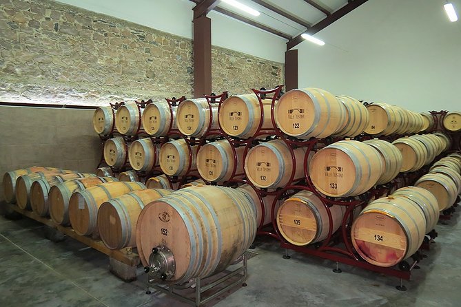 Thracian Valley wine tasting - private day tour from Plovdiv - Value Check: Is $116.89 per Person Worth It?