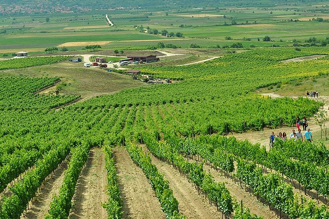 Thracian Valley wine tasting - private day tour from Plovdiv - Who This Tour Suits Best (And Who Might Want Something Else)
