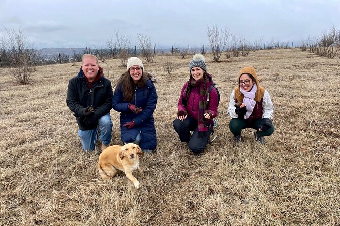 Truffle Hunting in Kyustendil - The Hazelnut Garden and Orchard Search: Finding Truffles Under the Ground