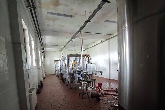 Unlock Six Starosel Treasures: A Delicious Tasting Experience - The Starosel Wine and Spa Complex: Winery Tasting Included