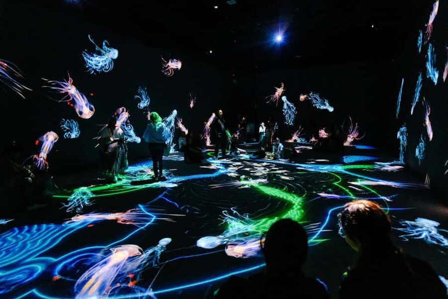 VIDENIE Immersive Art Space Entry Ticket - VIDENIE turns your presence into light and sound