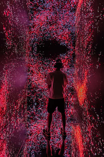 VIDENIE Immersive Art Space Entry Ticket - Practical tips to get more from your hour