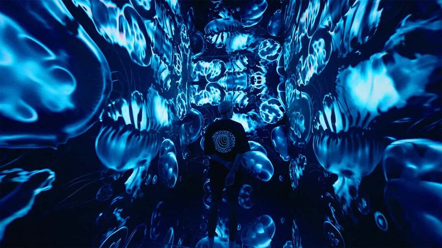 VIDENIE Immersive Art Space Entry Ticket - Should you book VIDENIE in Sofia?