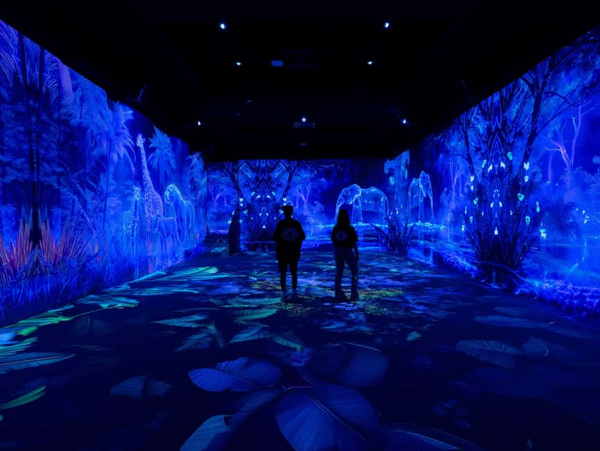 VIDENIE Immersive Art Space Entry Ticket - Price that makes sense for a 1-hour sensory session