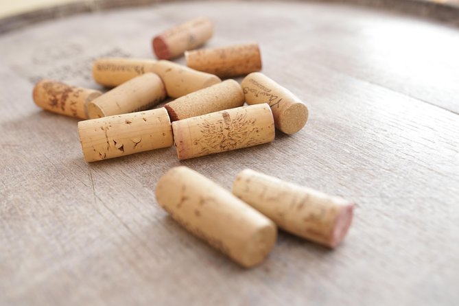 Wine Tasting in Heart of Sofia - About the host and what the shop-style experience adds