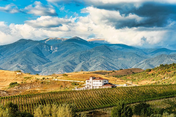 Wine Tasting & More in Villa Melnik – One of the World’s Best Wineries - Price and time: what you are actually buying for $45.12