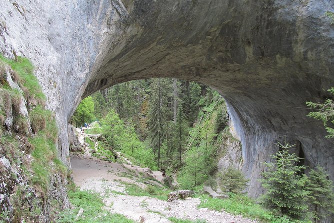 Wonderful Bridges-Bachkovo Monastery-Assen's Fortress - day tour from Plovdiv - Who This Tour Suits Best From Plovdiv